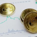 Woah! Dogecoin Whales Made 523 Transactions as DOGE Soars 34%!