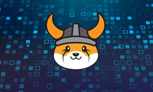 Floki Inu Surges After Listing on Binance.US, Becoming Top Memecoin in the Crypto Space