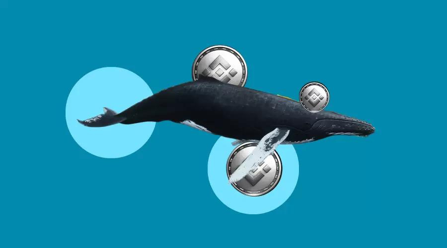 Whale Converts Most of their Ethereum Holdings into Bitcoin